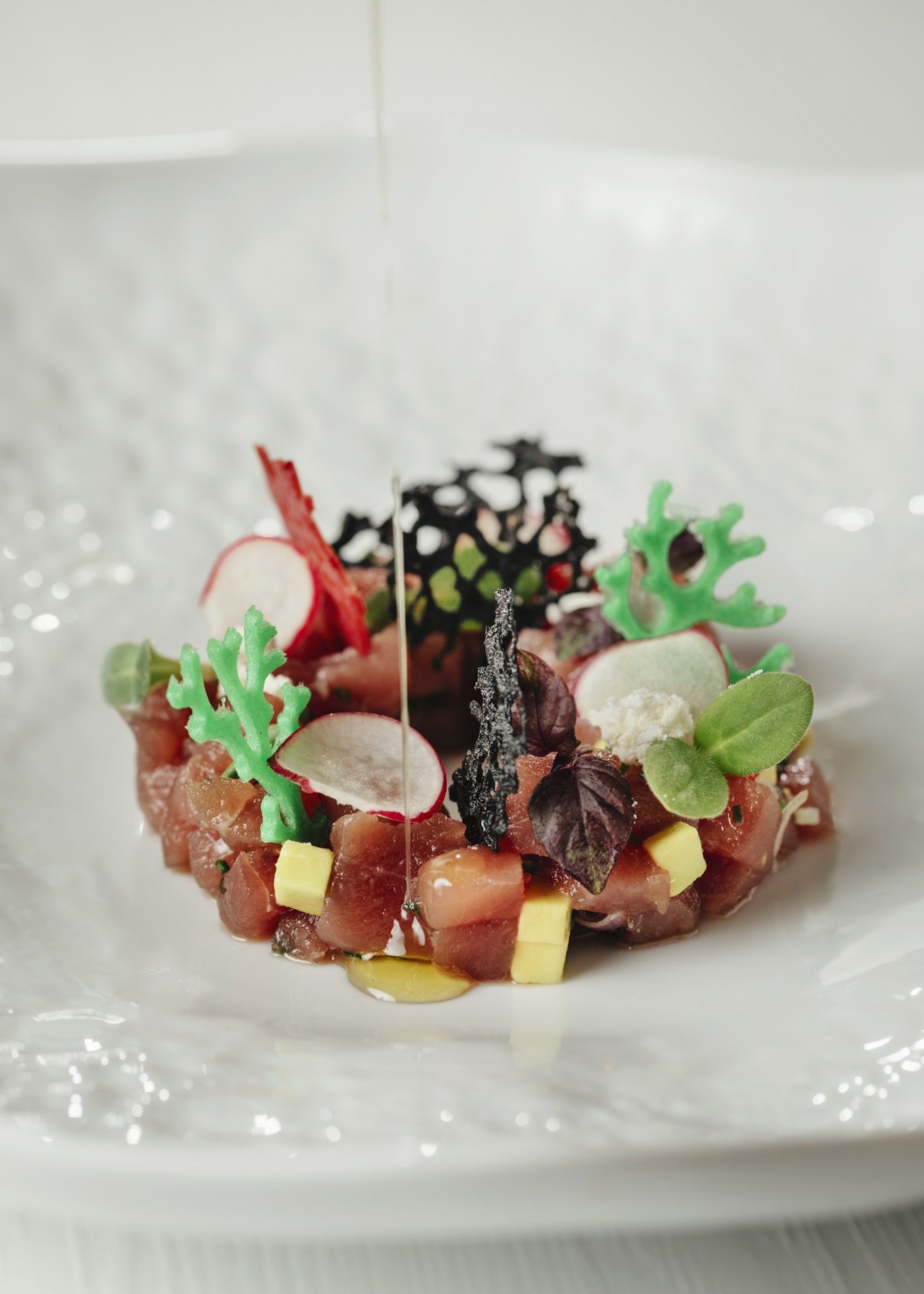 Matiz. Descobrimos que há azeite em pó e que a Gleba acompanha mais do que tostas de abacate