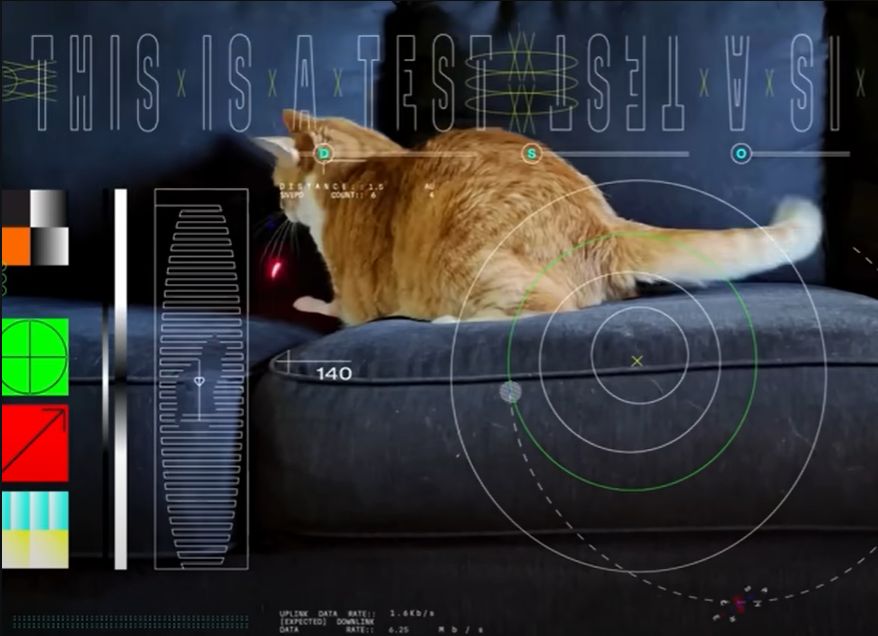 NASA transmite vídeo em Ultra HD do espaço profundo. Gato e laser são protagonistas
