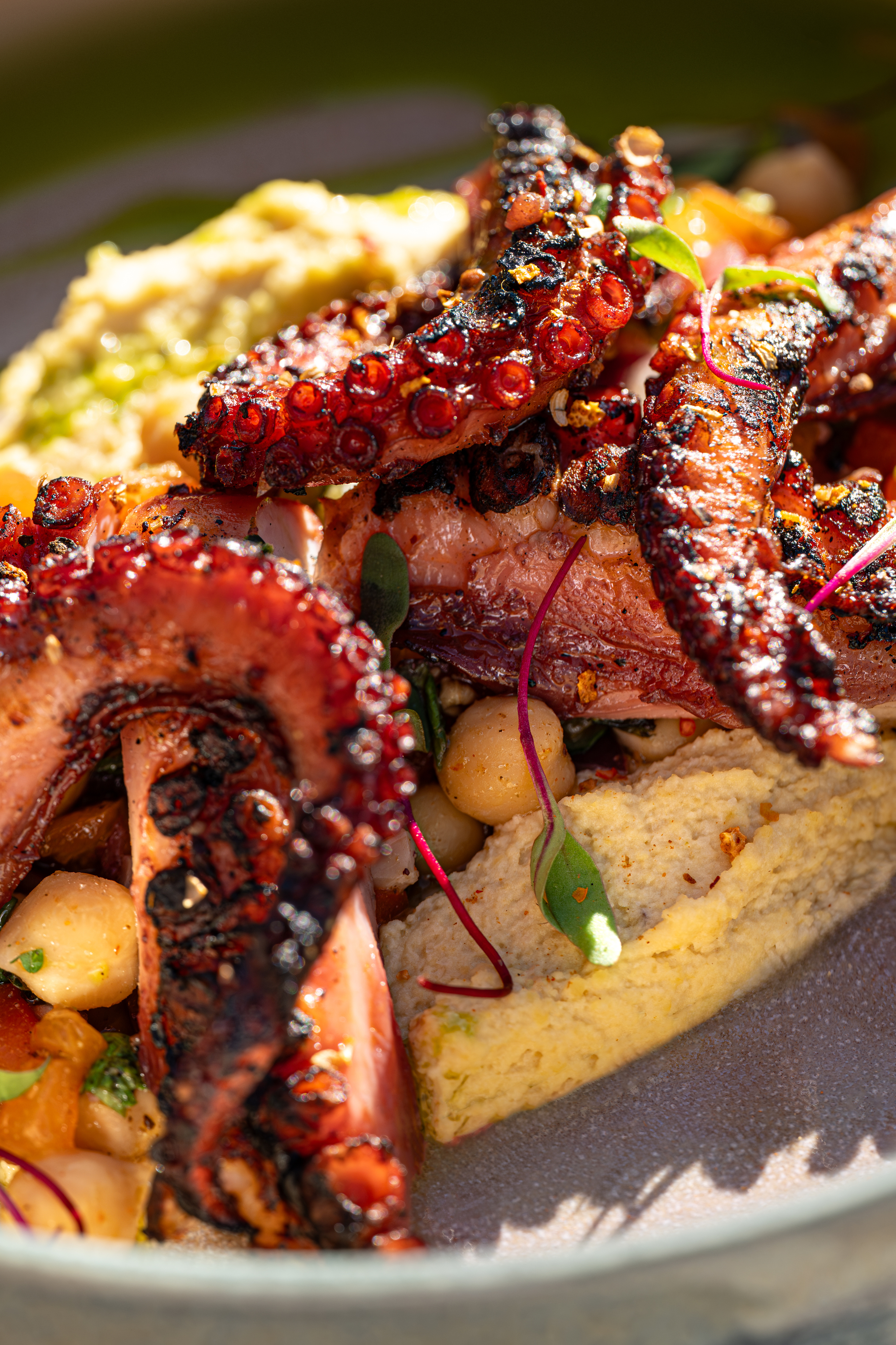 Cabana Sass’ Algarve. Este novo refúgio à beira-mar tem sabores mediterrânicos com alma atlântica