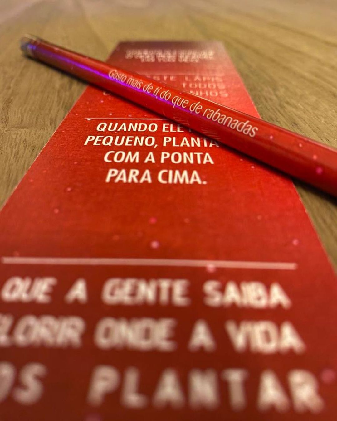 Naubi. O lápis que, em fim de vida, dá girassóis ou salsa