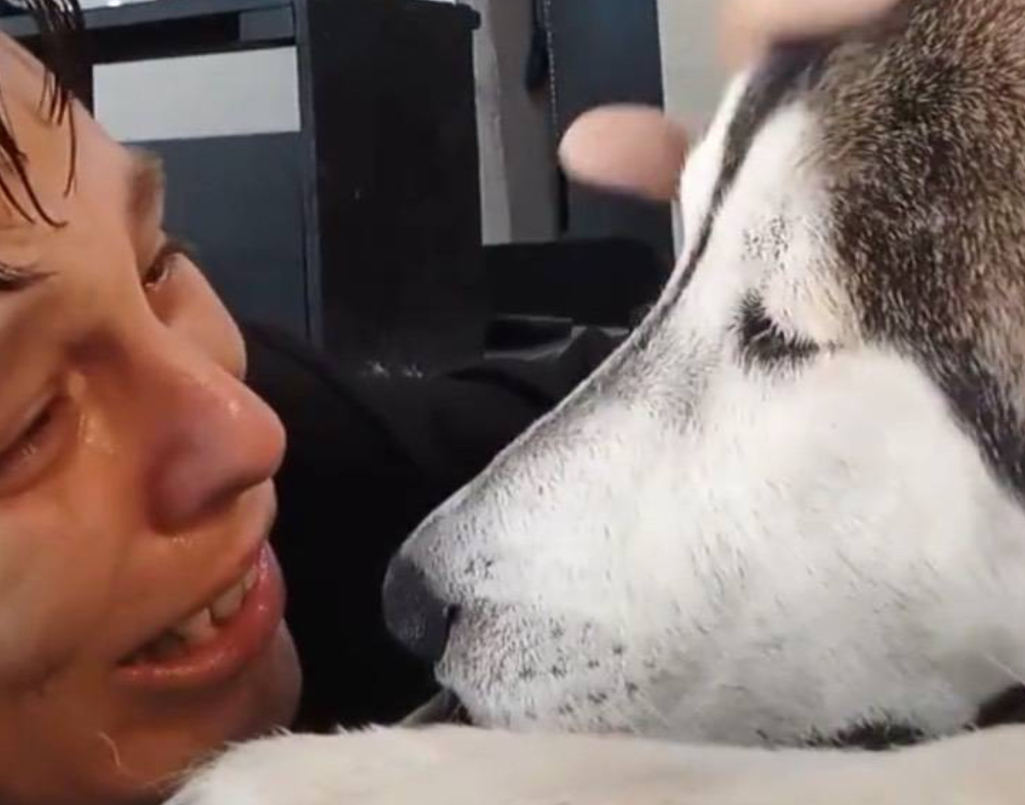 Homem despede-se do cão antes de ele ser abatido. E provavelmente hoje não vai ver um vídeo mais emocionante