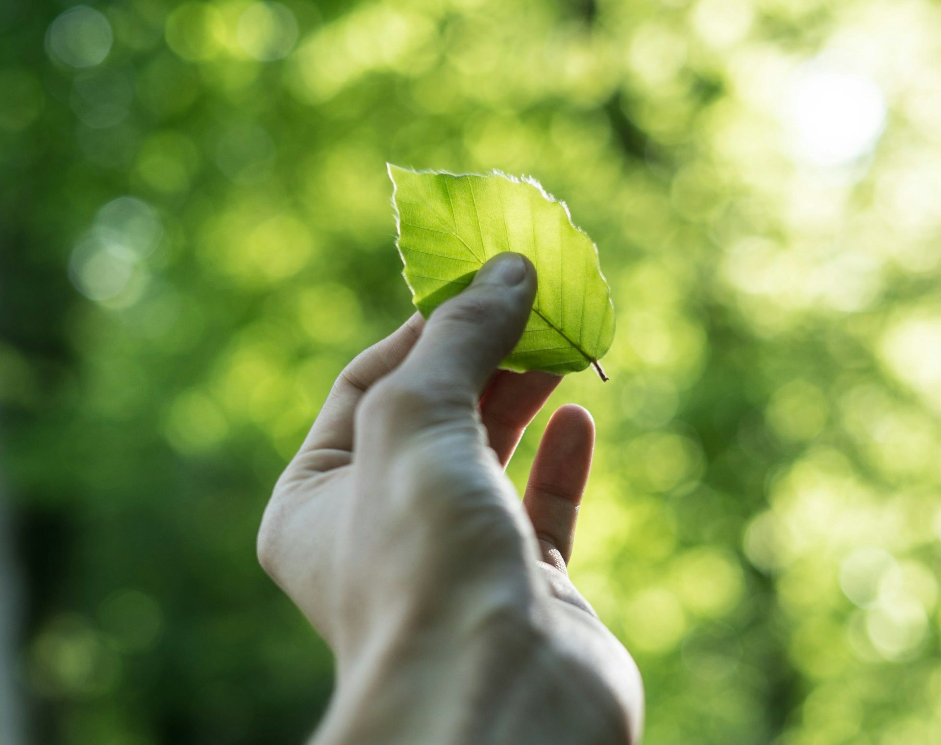 Criança de 11 anos tem uma dívida de mais de 8 mil euros à Segurança Social. Saiba porquê