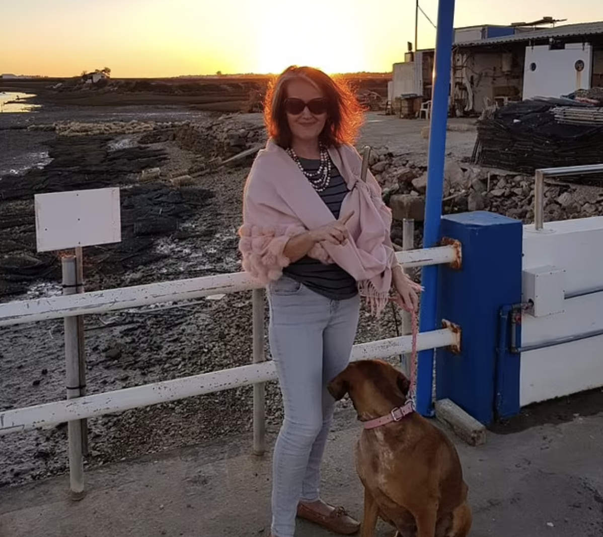 Foi para o Algarve viver reforma em paz e vive em terror. Já lhe mataram o cão e tentaram assassiná-la