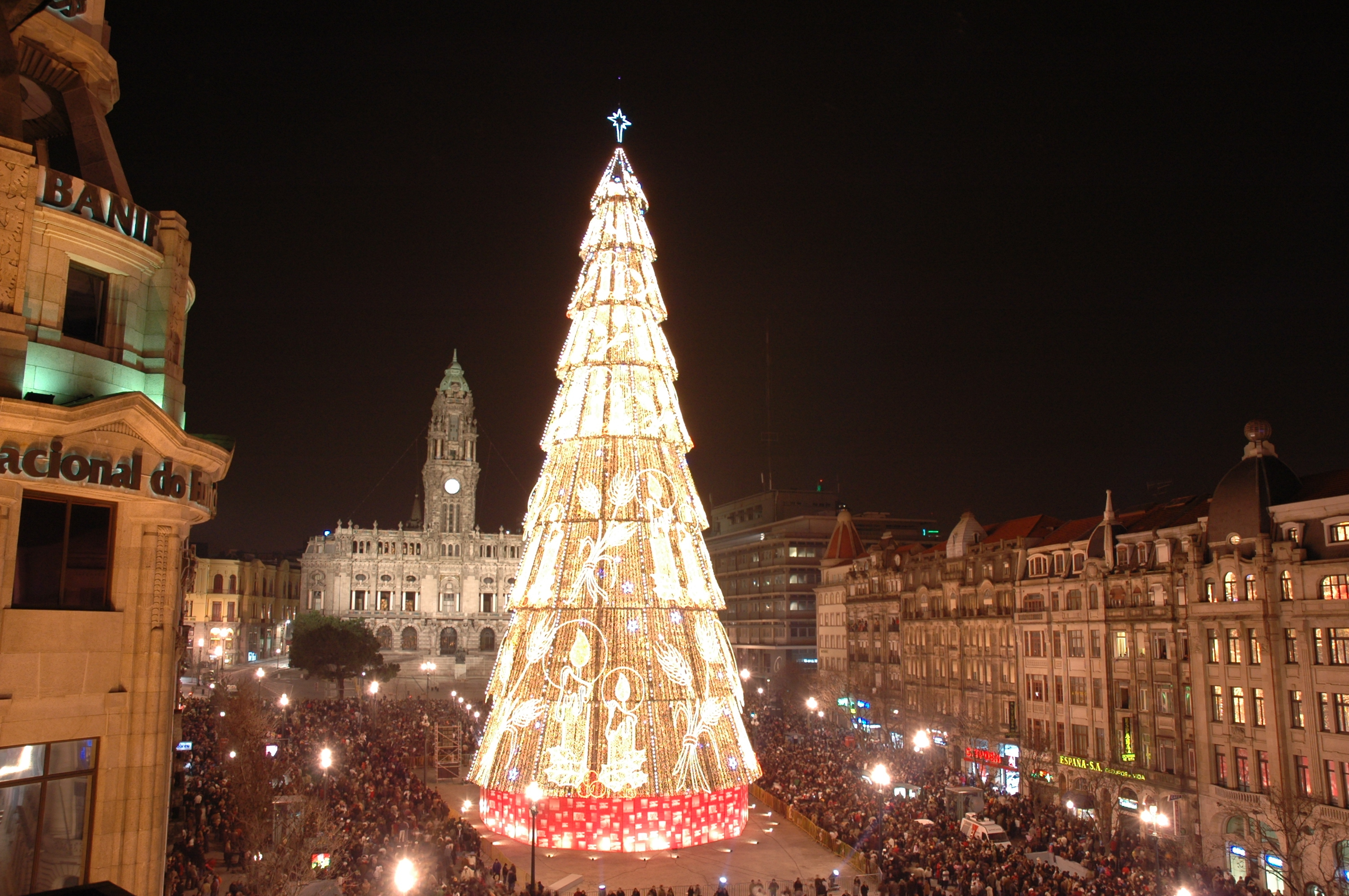 Um ano depois, a árvore gigante de Natal vai voltar à Avenida dos Aliados, no Porto