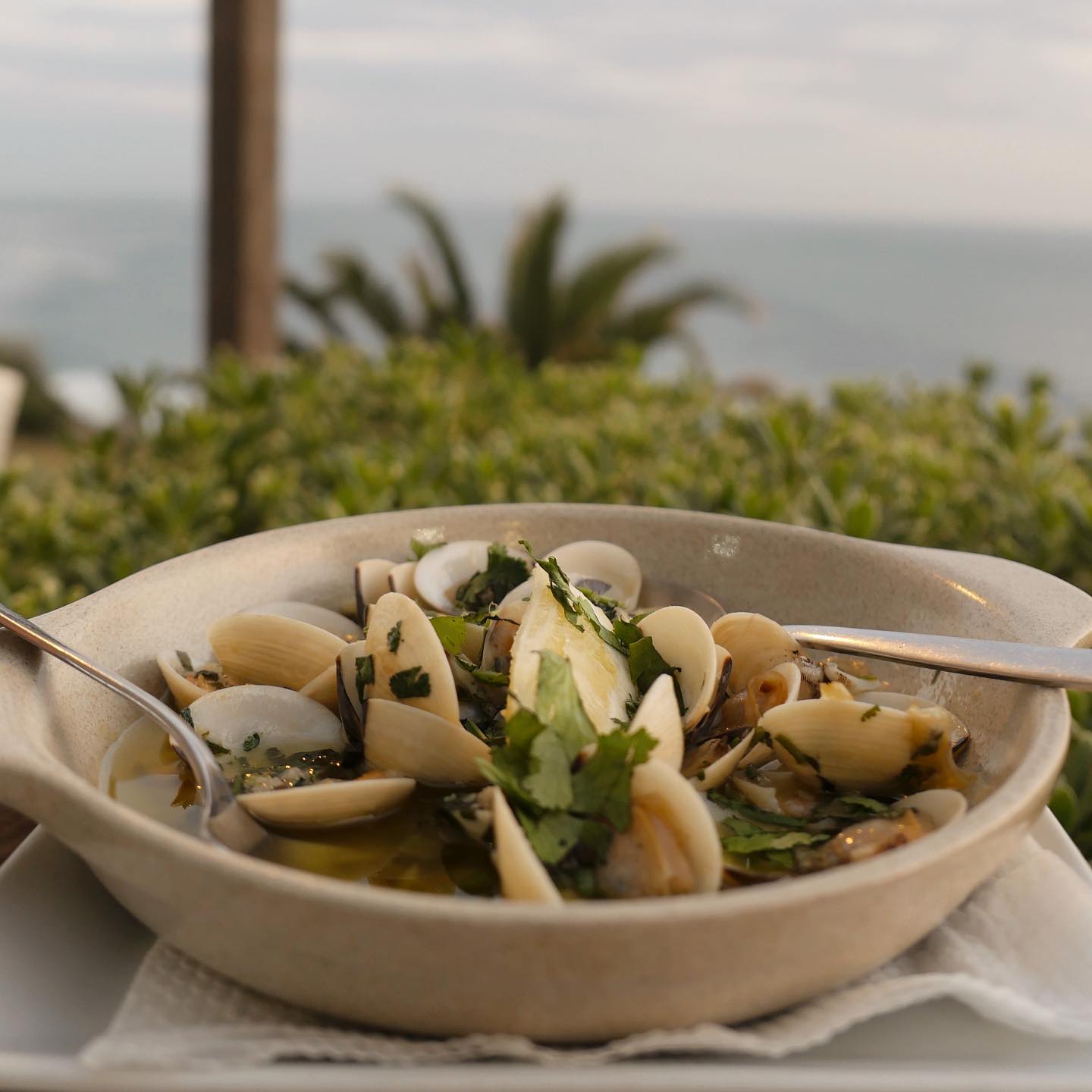 5 sítios para comer amêijoas: uma atrás da outra e seguidas de marisco fresco ou com molhenga