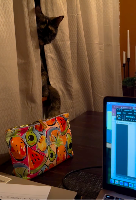 Esta gata reconheceu a voz da dona que já morreu – e este é o vídeo mais emocionante que vai ver hoje