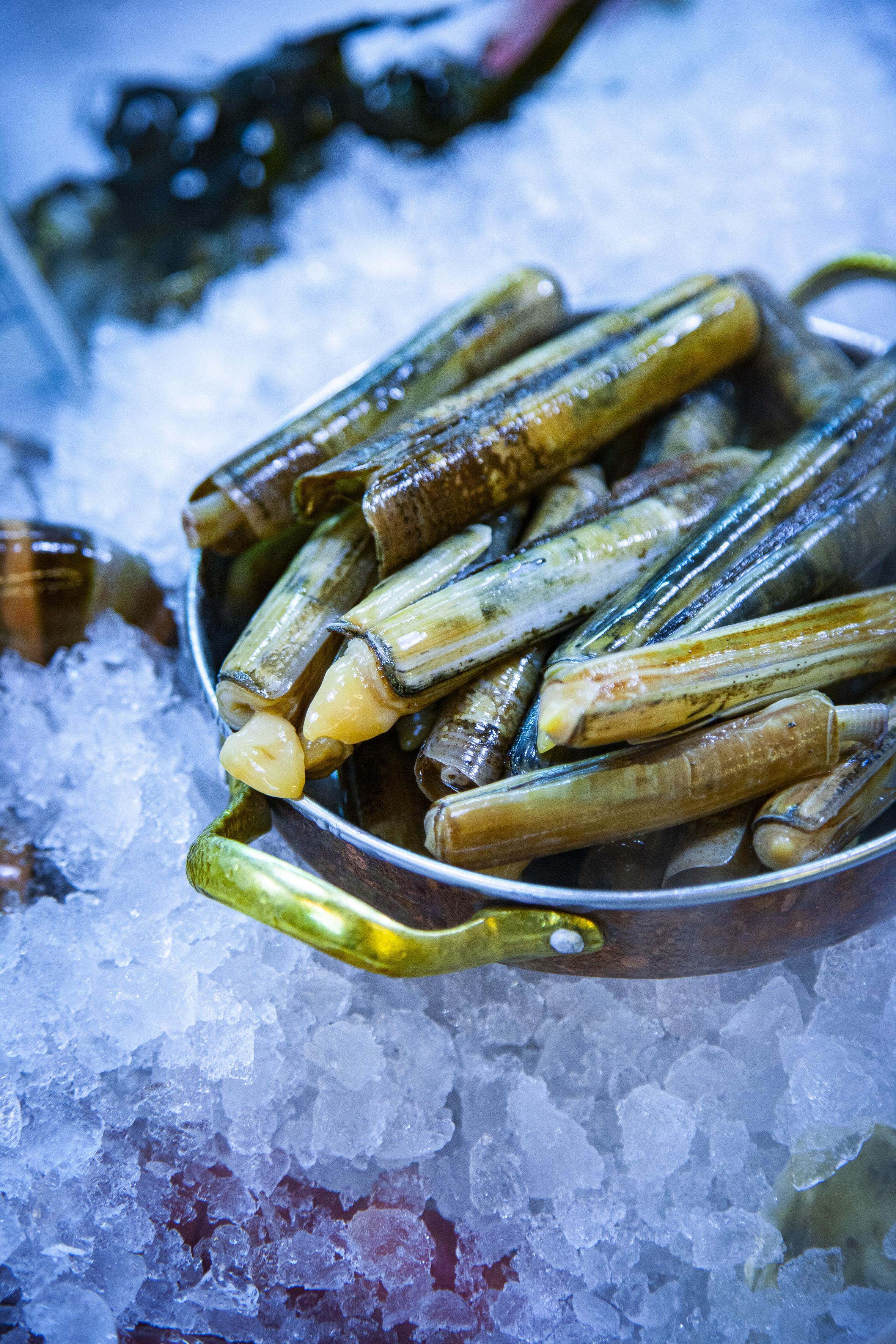 Está a chegar um restaurante de petiscos com a mesma alma do Sea Me. Saiba quando