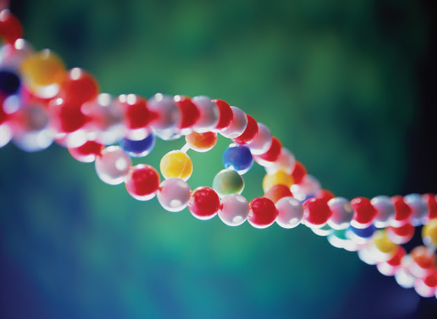 Valvian está focada nas terapias para o cancro e quer criar centro de excelência em Portugal