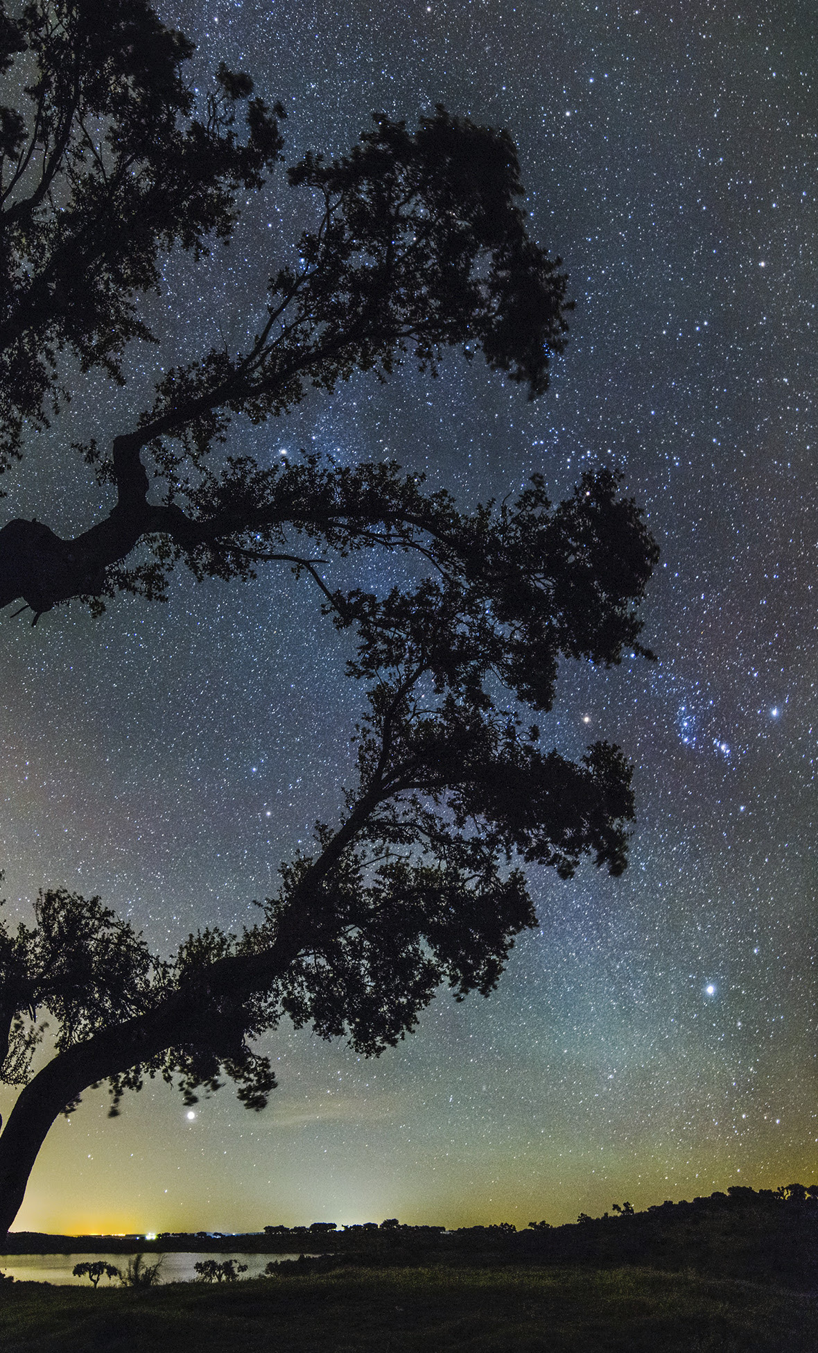 Ohai Nazaré: duas noites únicas para ver estrelas e descobrir os mistérios do cosmos