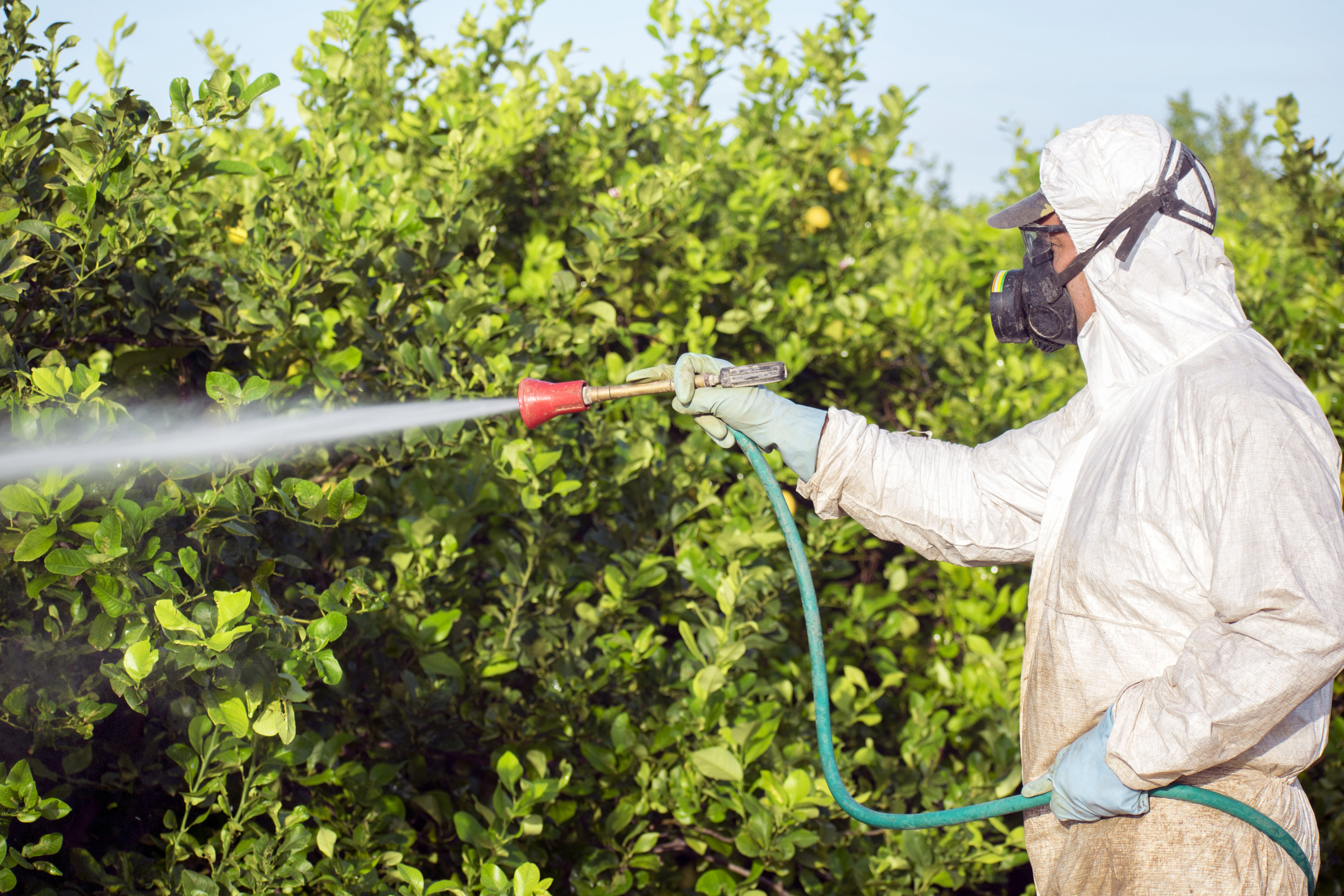 Первые пестициды. Пестицидами и агрохимикатами. Пестициды ядохимикаты. Обращение с пестицидами и агрохимикатами. Химикаты в сельском хозяйстве.