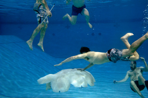 Jardim zoológico espanhol fechou há dois meses e os animais ficaram abandonados