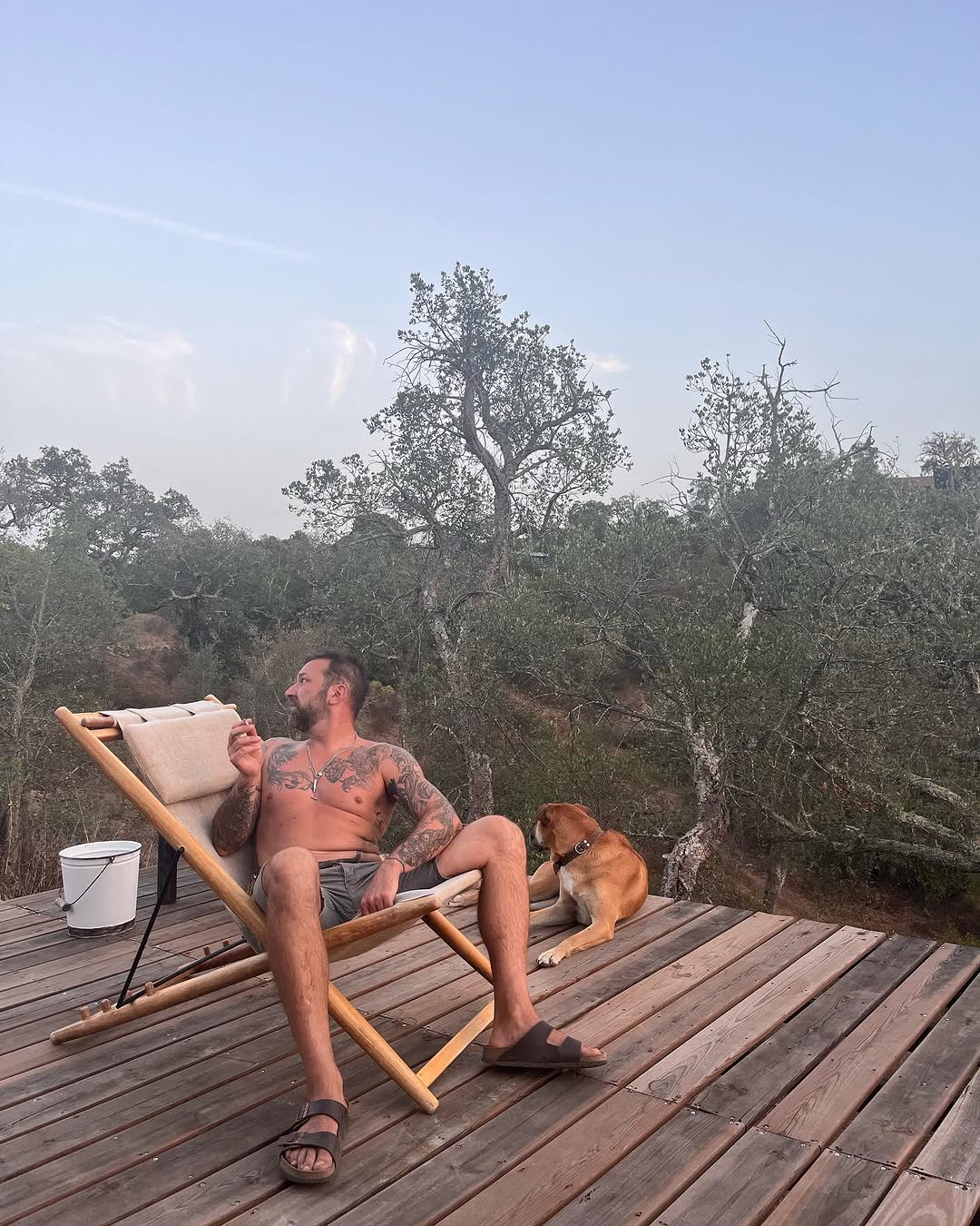 Cães de Ljubomir Stanisic atacam rebanho de ovelhas. “Entre mortas e feridas já foram perto de 130”