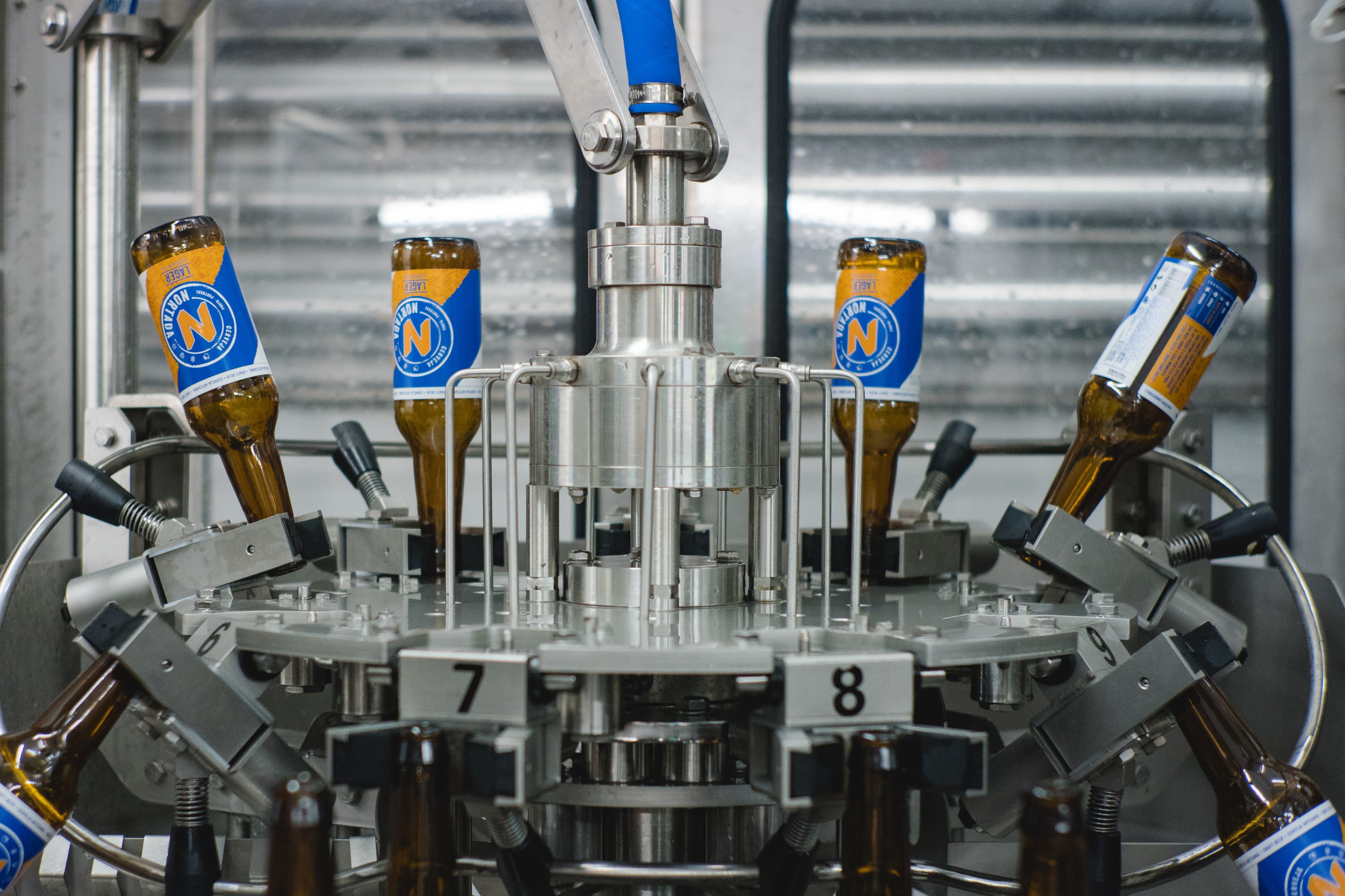 Gostaria de se tornar num mestre da cerveja artesanal? Então, estes cursos são para si