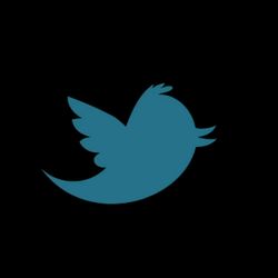 As meias agora são para se ver. Nós mostramos-lhe as 10 mais trendy que pode encontrar