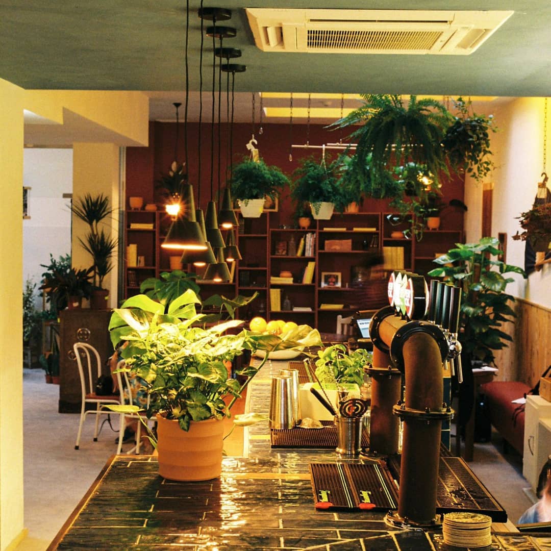 A MATA. O espaço com mais oxigénio de Lisboa para conviver e comprar plantas até à meia noite