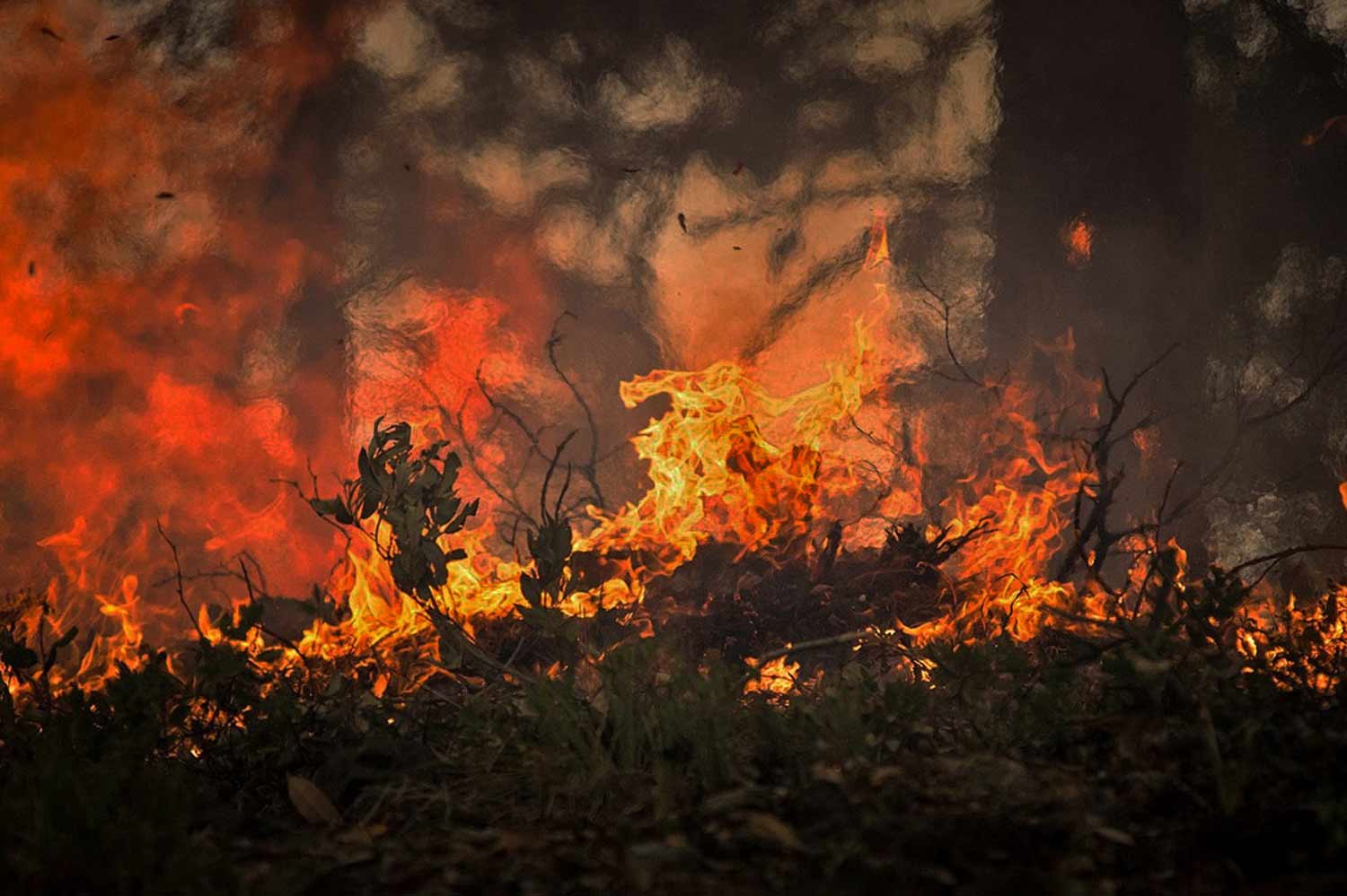 Exército gastou 6 milhões de euros em 36 drones para detetar incêndios e nunca os usou para esse fim