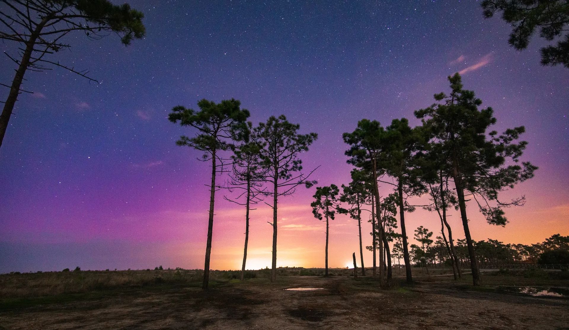 Auroras boreais estão de regresso. Imagens mais recentes mostram “festa” de luz