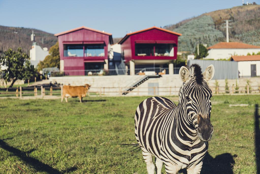 Já está a pensar nas férias? Temos 7 hotéis e turismos rurais para conhecer em família
