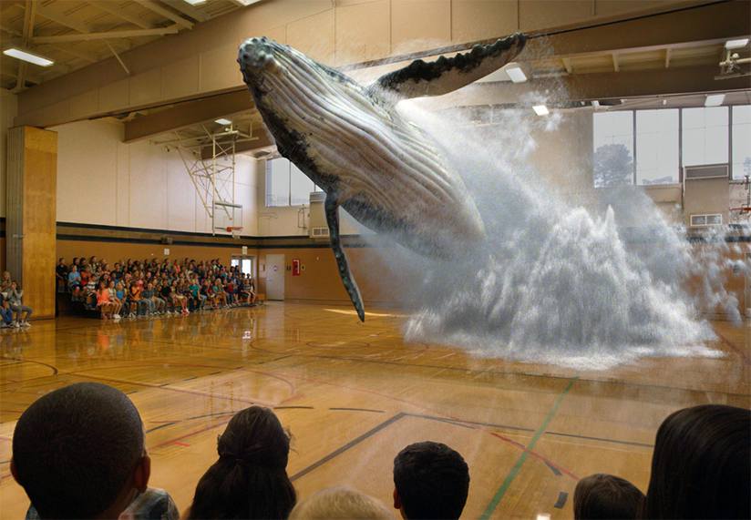 Discussão entre Hélder e Teresa sobe de tom. “Nunca aprendeste quem está do teu lado”