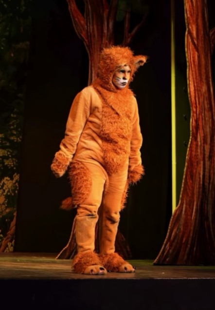 Com muita diversão e músicas cativantes, “Simba” é o novo espetáculo ideal para todas as famílias