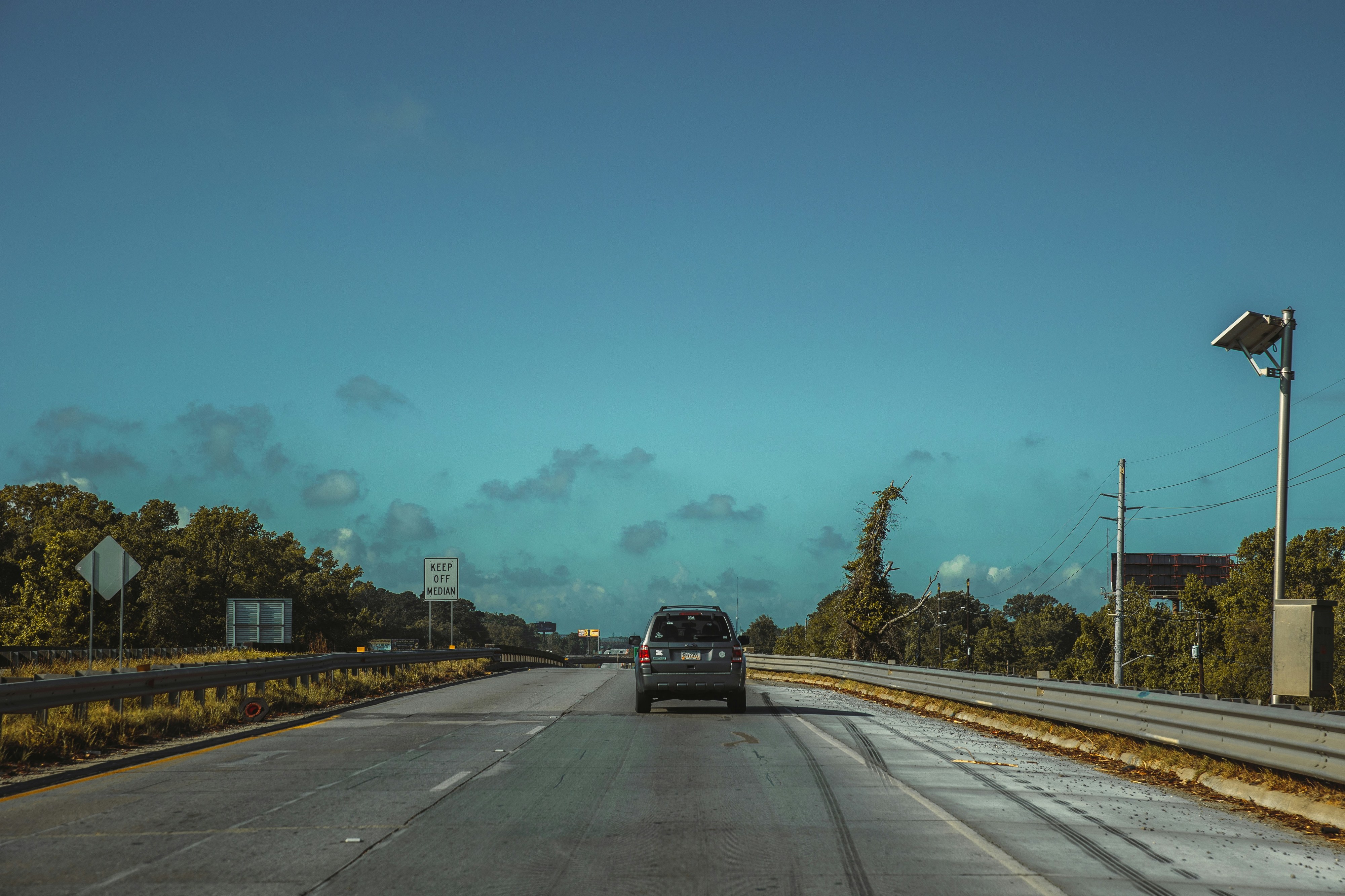 Homem de 77 anos morre atropelado em autoestrada quando tentava salvar uma tartaruga