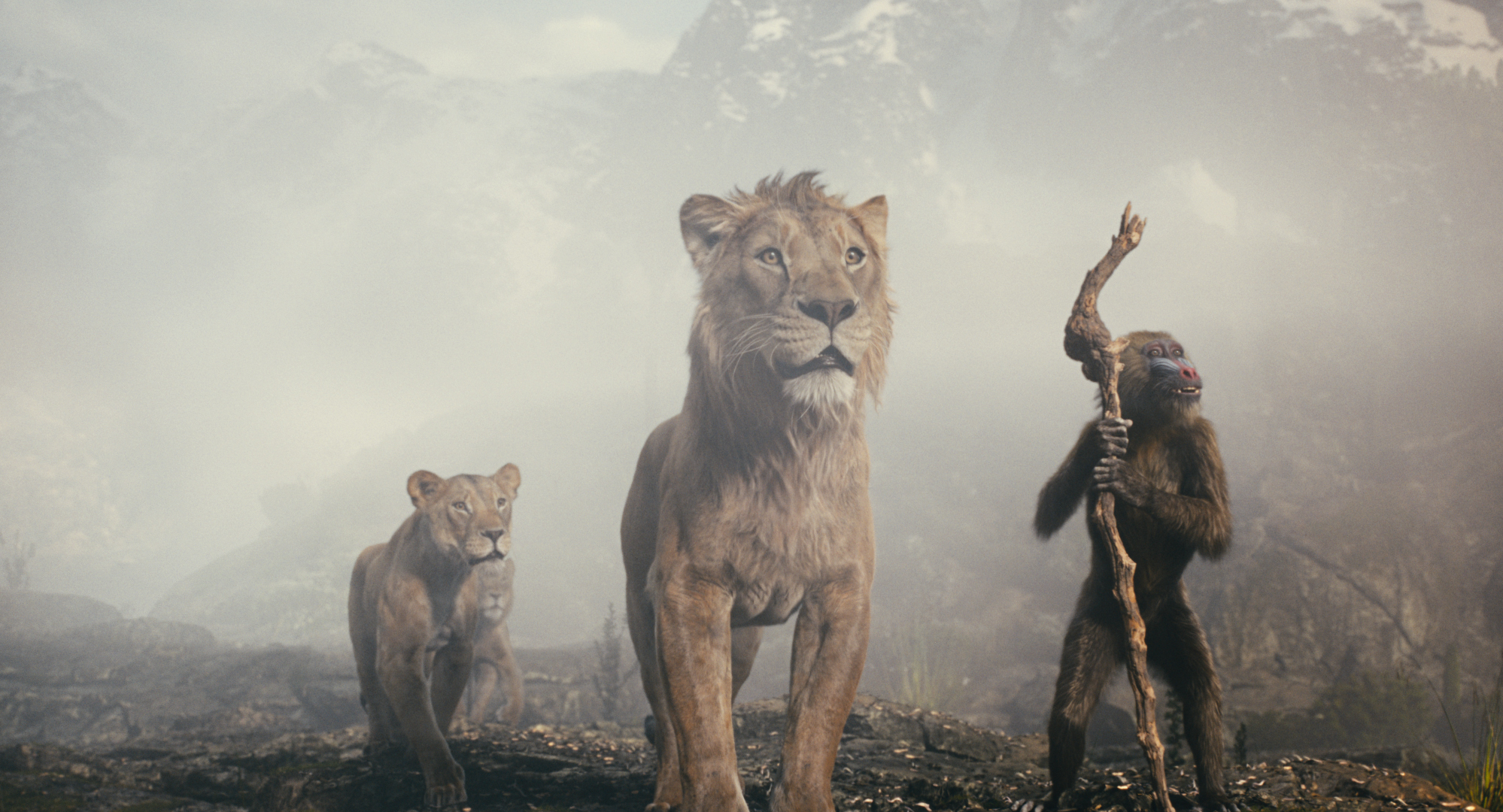 “Mufasa – O Rei Leão”. Já chegou ao cinema a história arrebatadora do rei da selva e pai de Simba