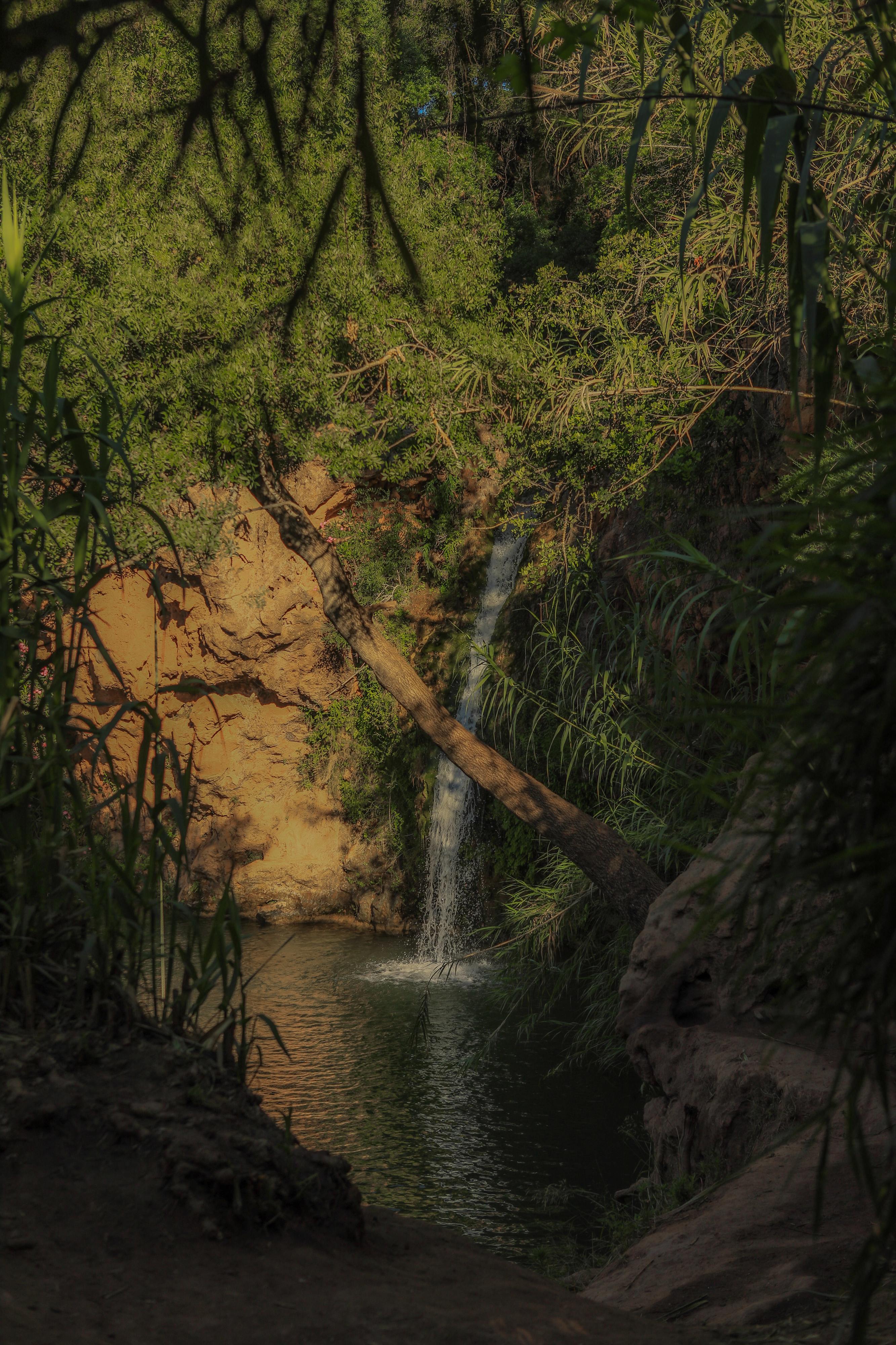 Tavira dá para tudo, até para entrar num descanso profundo junto à ria Formosa. Espreite o roteiro