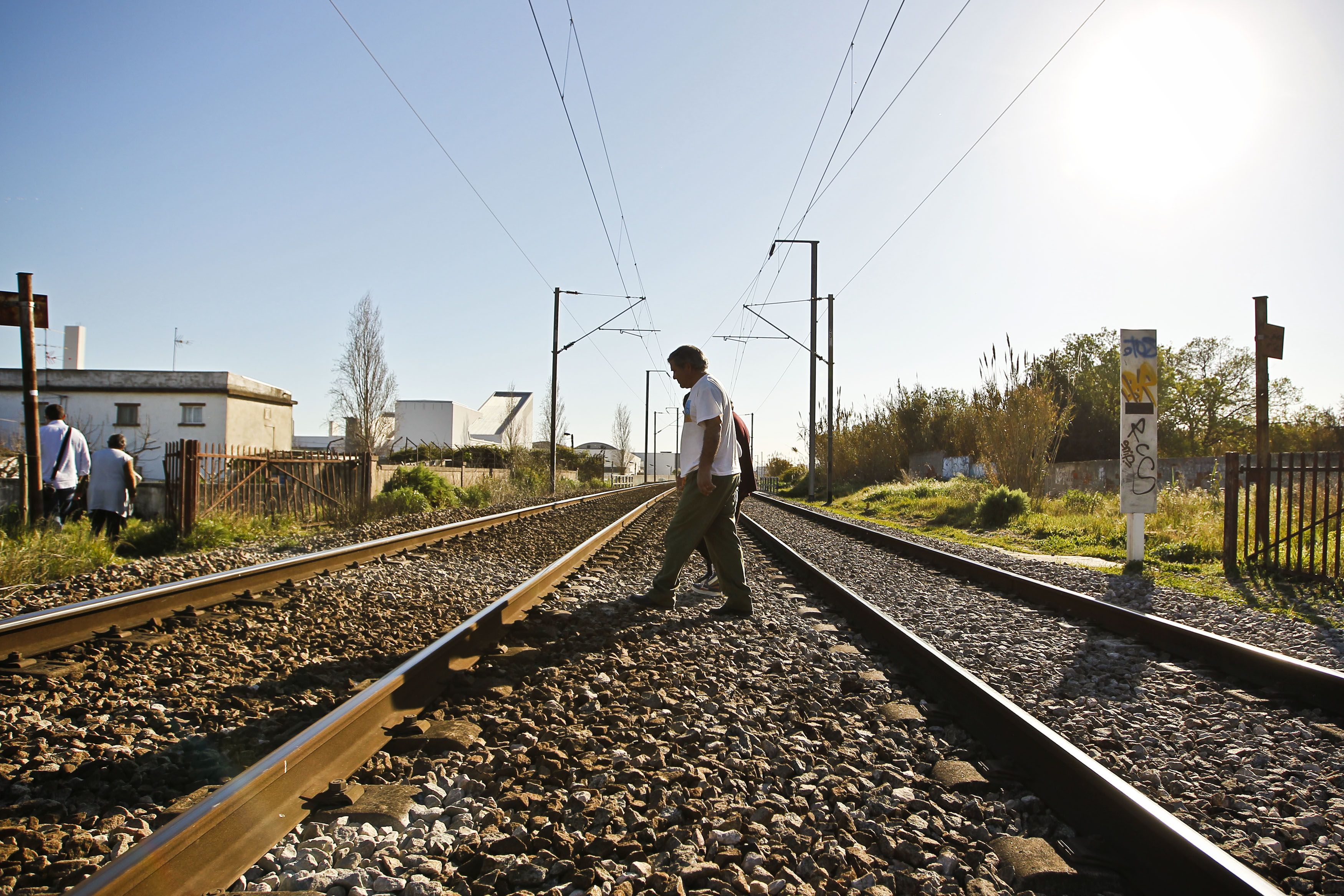 Retomada circulação na linha ferroviária do Norte após atropelamento na Ribeira de Santarém