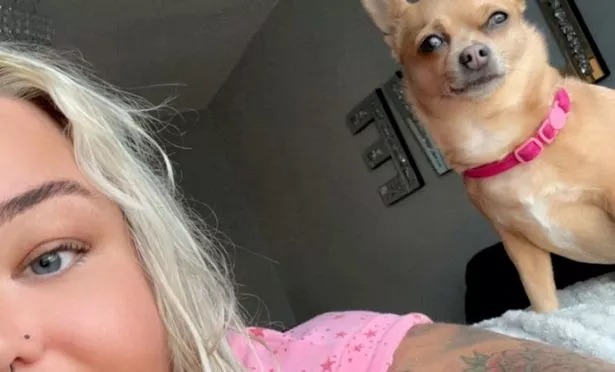 Jovem cai das escadas depois de tropeçar no cão. Agora, tem dificuldades em andar