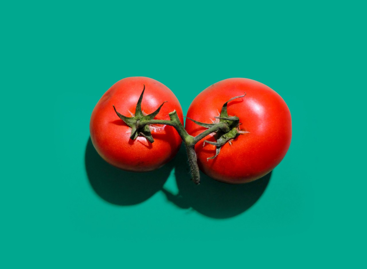 Os tomates ficam melhores quando guardados dentro ou fora do frigorífico? Está enganado, vai ver
