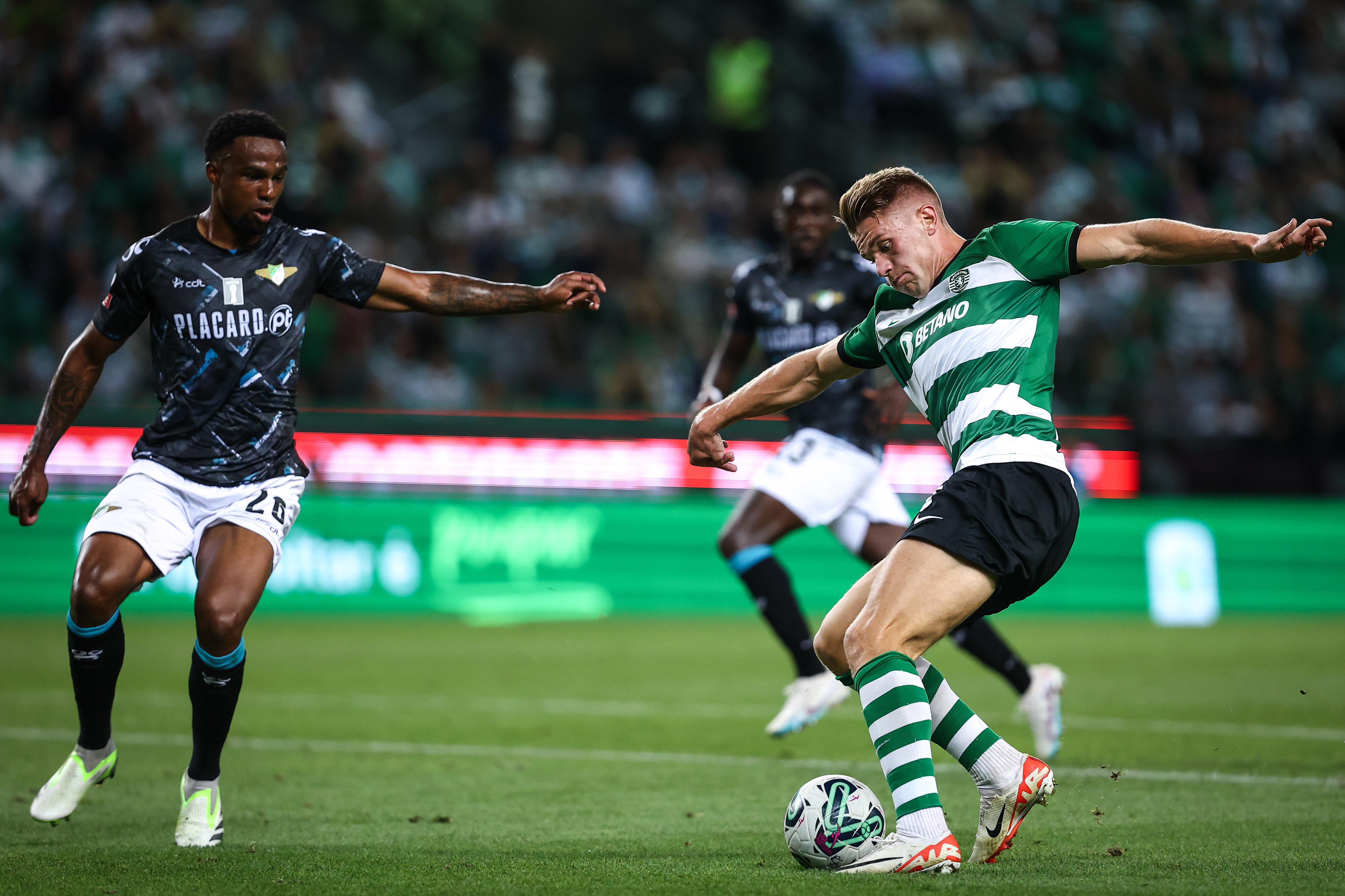 Moreirense FC (1-1) Sporting CP – Rugido Verde