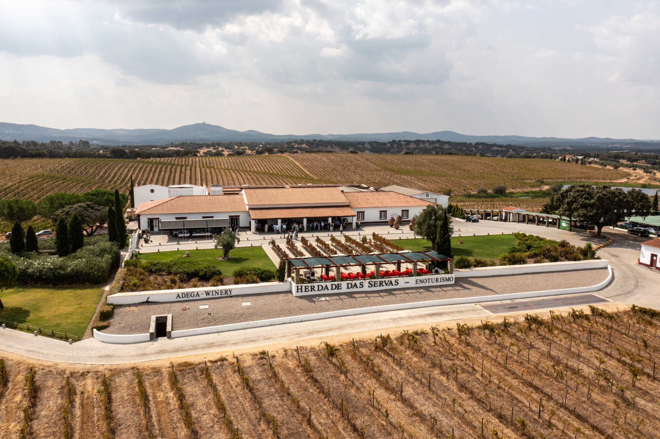 Vinho, campo e debate: Regenerative Wine Fest regressa ao Alentejo