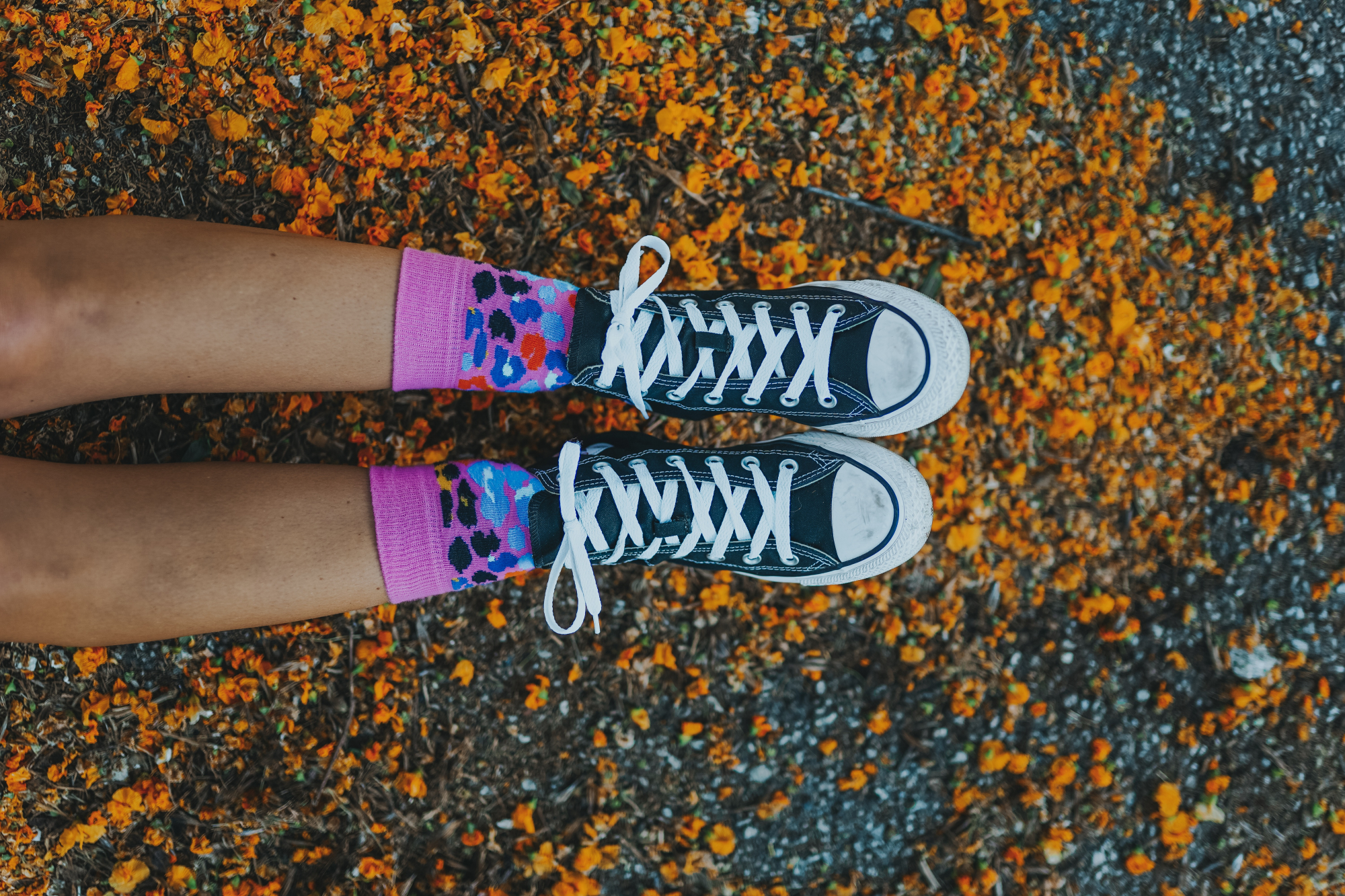 Meias divertidas para quem tem estilo e muita personalidade