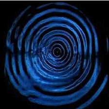 Quiz. Só quem acertar em 8 destas 11 propostas pode votar no PAN nas Legislativas