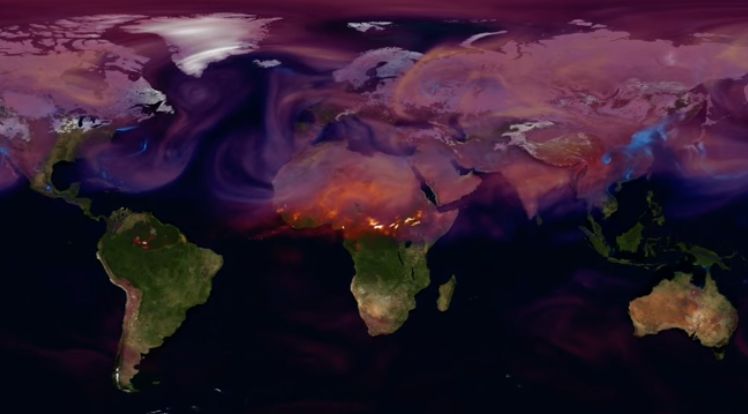 Plano de parto. Sabia que pode ter o bebé de cócoras e ao som da sua música preferida?