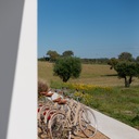 Alàpega