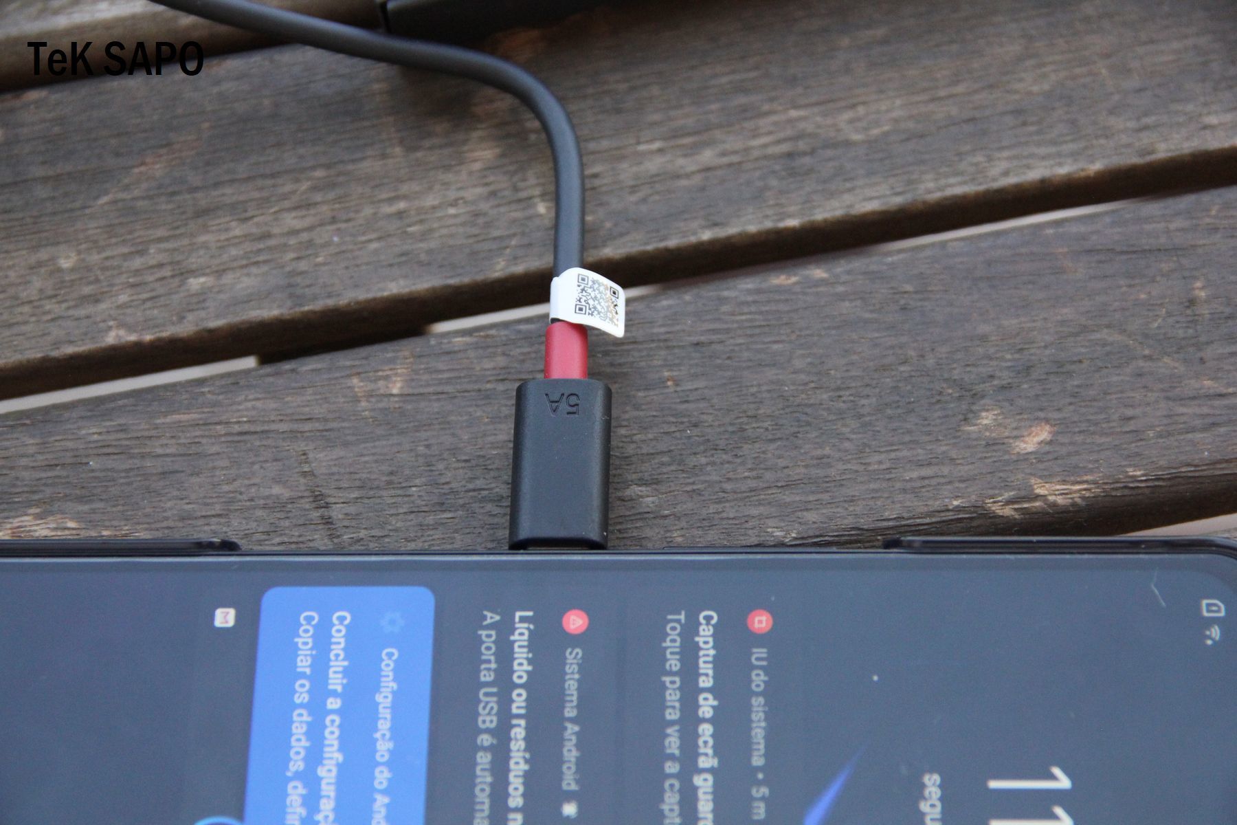 Um rebanho de ovelhas andou em círculos durante 12 dias. Veja o vídeo insólito e perceba o porquê do fenómeno