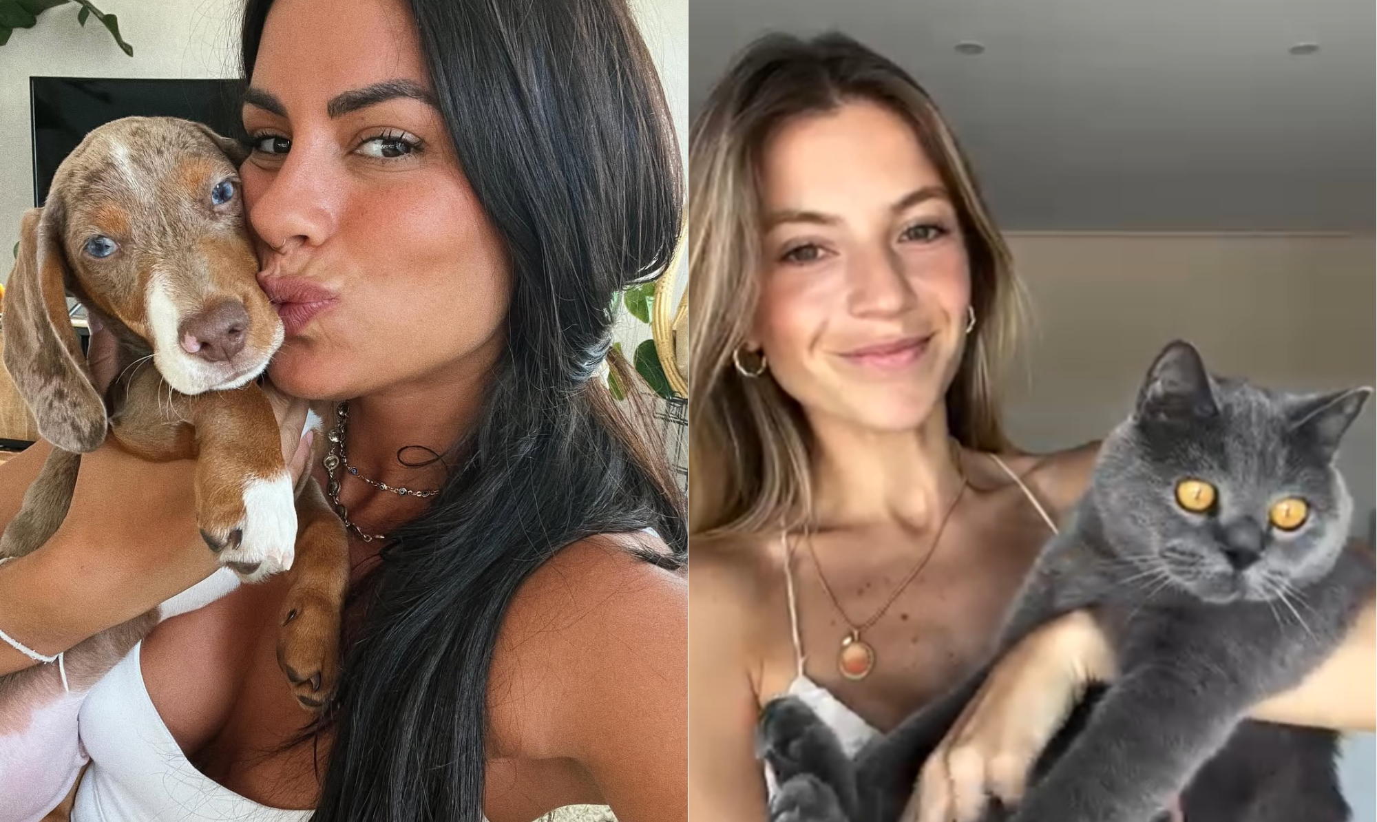 Dia do Animal. Vai derreter-se com a fofura dos patudos destas 10 celebridades. Veja as fotos