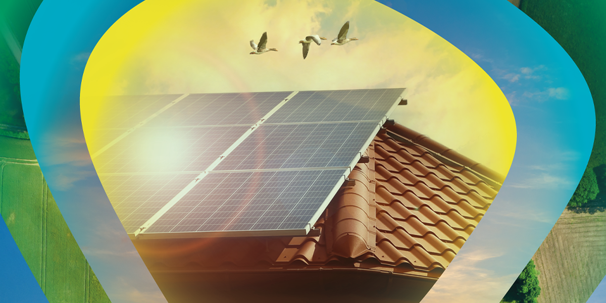 Tem painéis solares em casa? MEO Energia lança oferta para compra de excedentes da produção energética