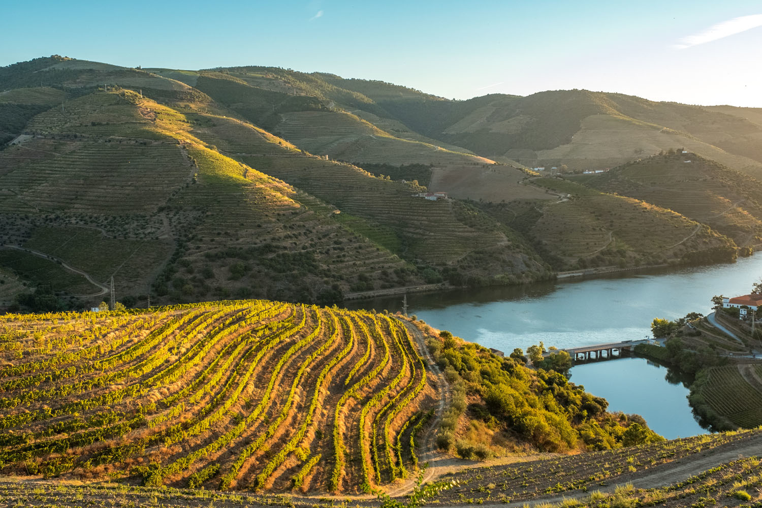 Torne-se um mestre da vindima com estes programas dos hotéis Vila Galé (a partir de 35€ e com vistas fabulosas)