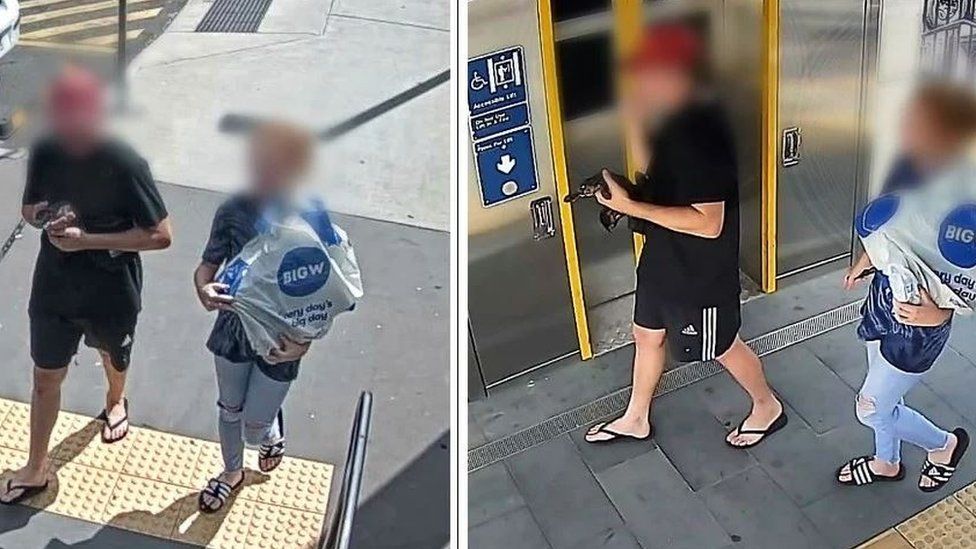 Jovem indiciado na Austrália por levar um ornitorrinco de comboio para um centro comercial