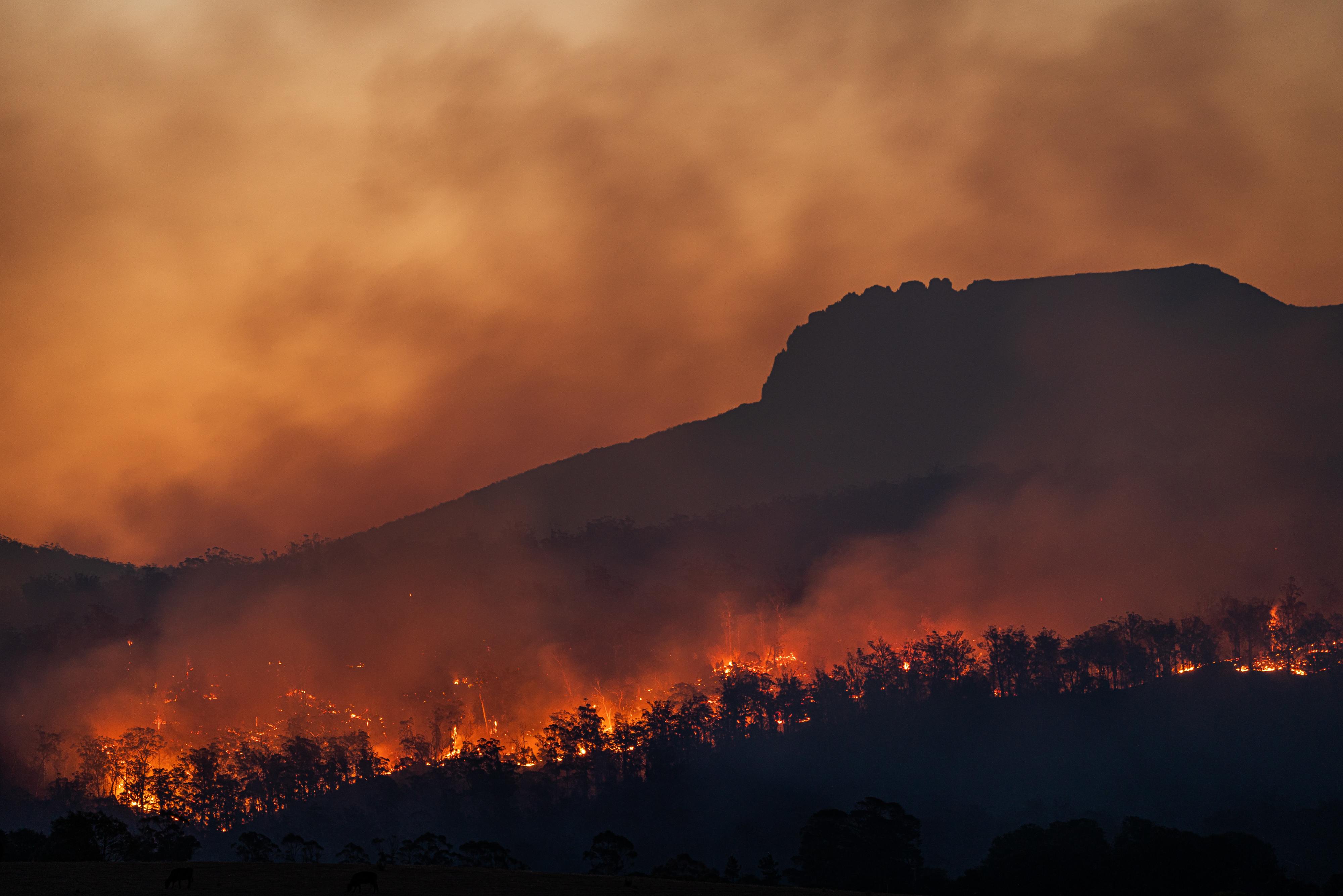 Incêndio de Faro chegou à Quinta do Lago. Há habitações em risco e residentes deslocados