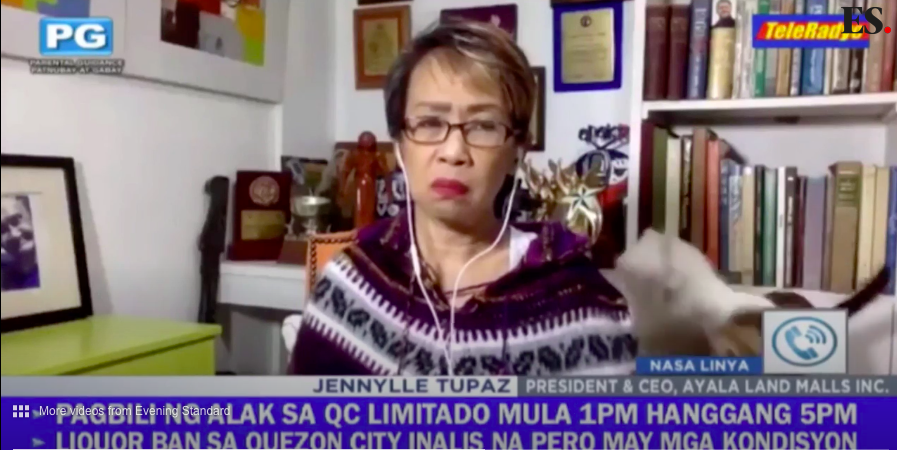 Luta de gatos interrompe entrevista de jornalista. Veja o vídeo do momento insólito