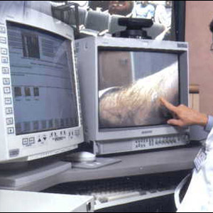 Roteiro em Ponte de Lima. Um fim de semana com vinho verde, sarrabulho e um passeio de canoa