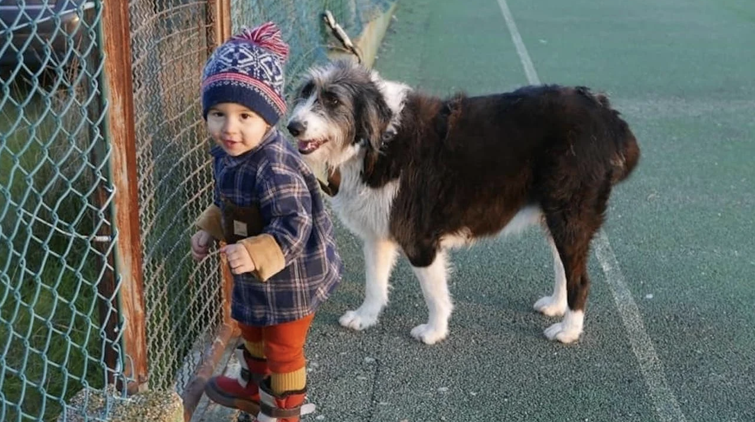PJ afasta intervenção de terceiros e negligência no desaparecimento de Noah