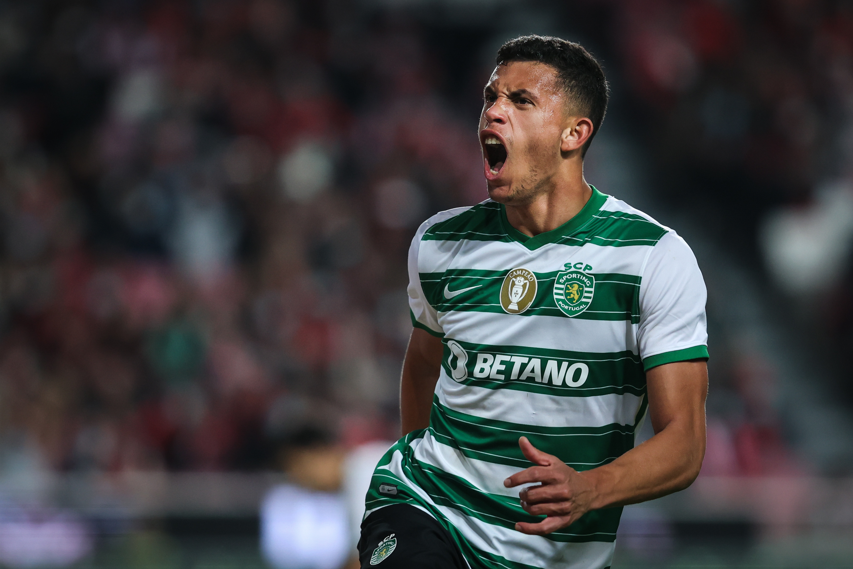 Jogador do Sporting em França para acertar transferência - Adeptos de  Bancada