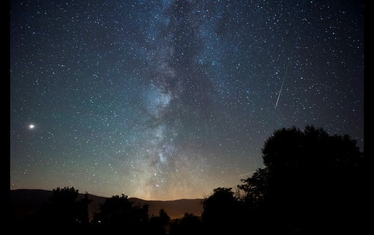 Uma semana de refeições para si e para o bebé? A Blog da Spice prepara tudo e entrega em casa