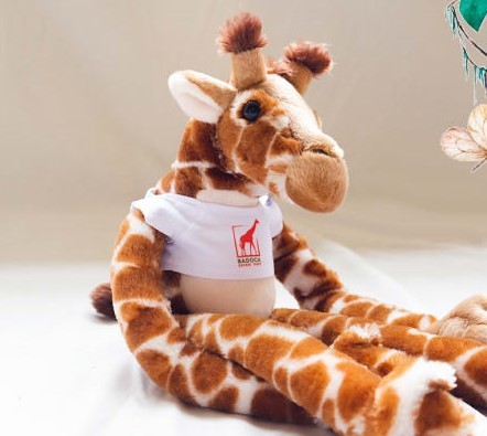 Compre um lémur de peluche, ajude a salvar o Badoca Park e ainda ganha uma entrada no Dia da Criança