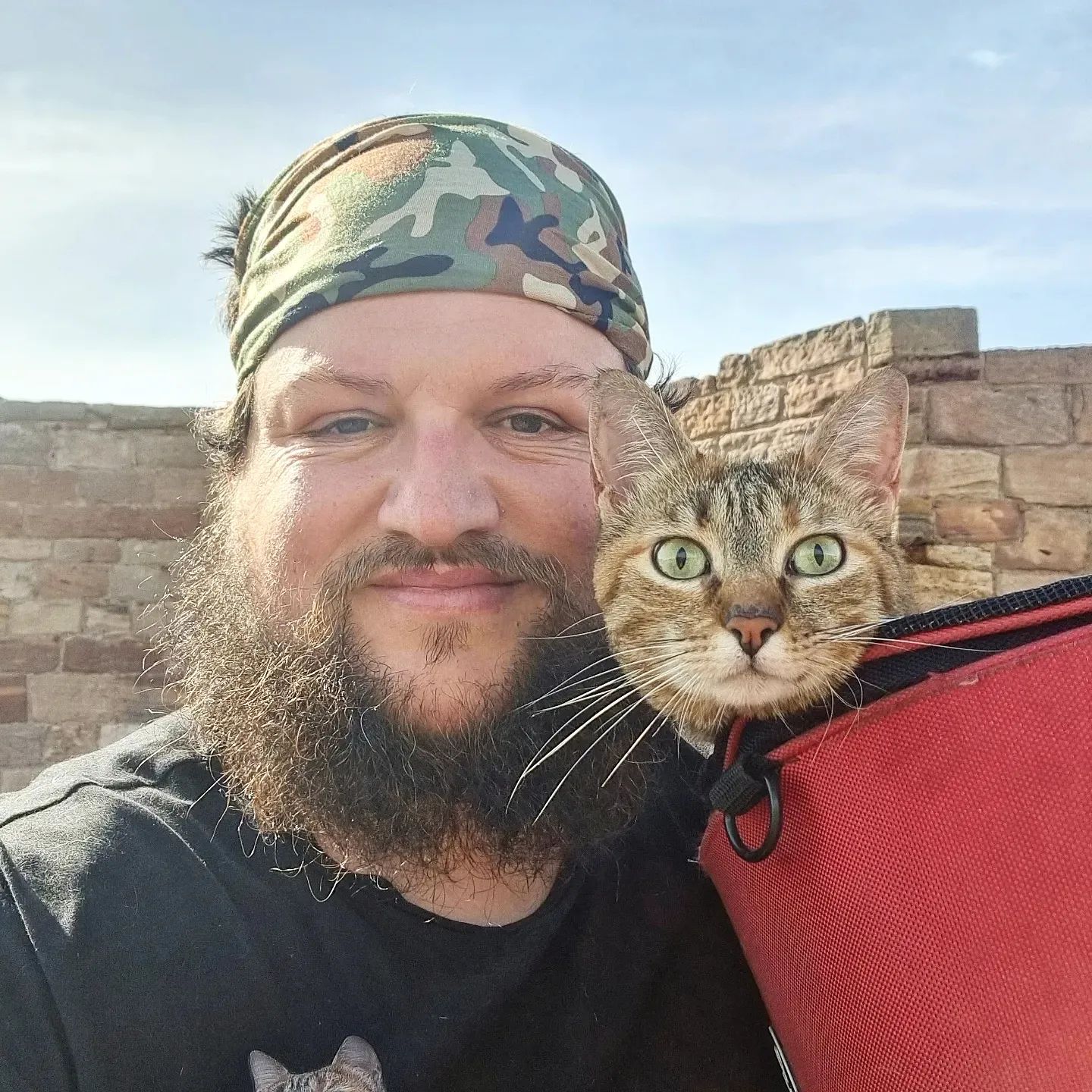 Apaixonou-se por uma gata bebé que encontrou na estrada e anda a passear com ela pelo mundo. Já conheceram 29 países