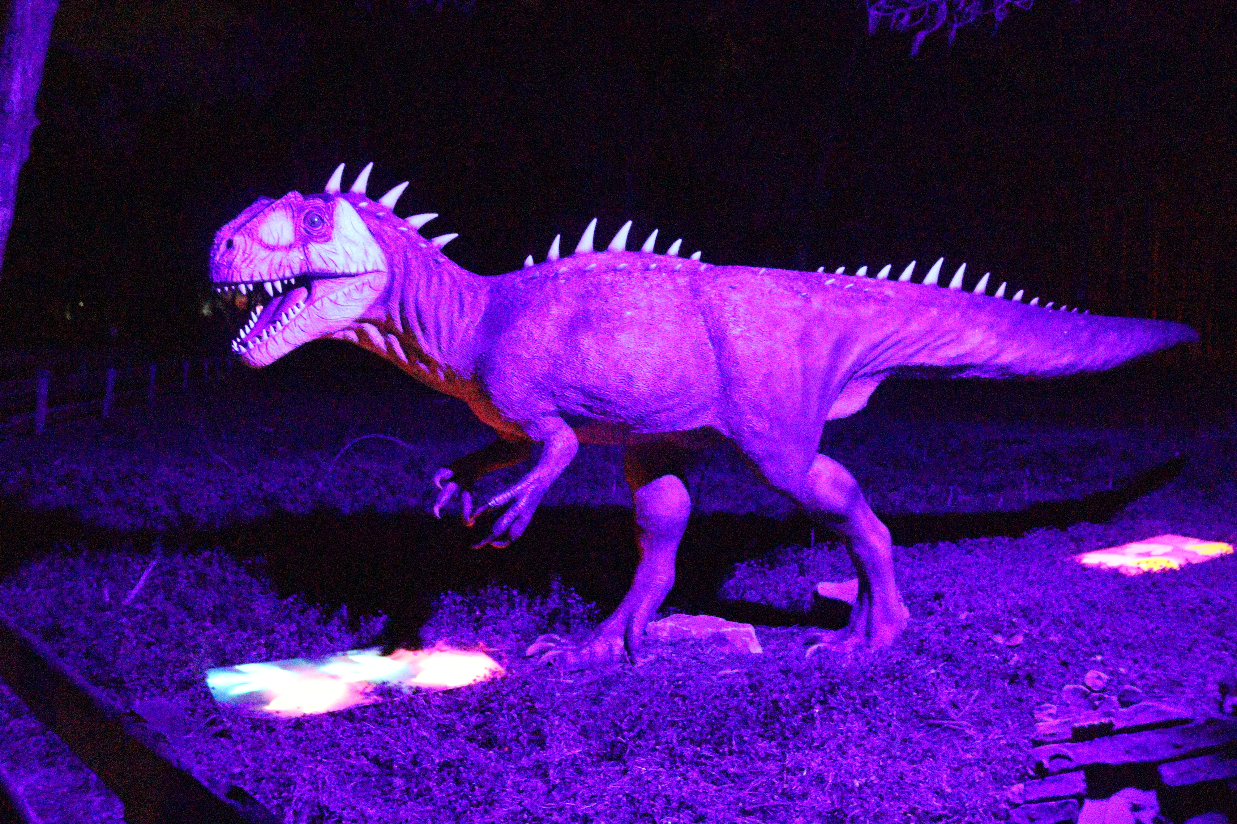 As noites jurássicas estão de volta à Lourinhã e são ideais para as férias da Páscoa dos miúdos